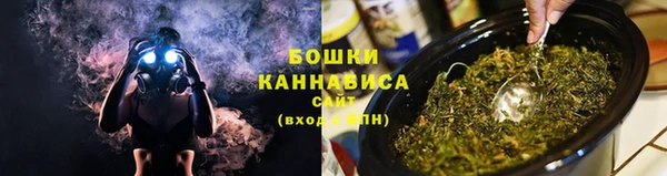 сатива Белоозёрский