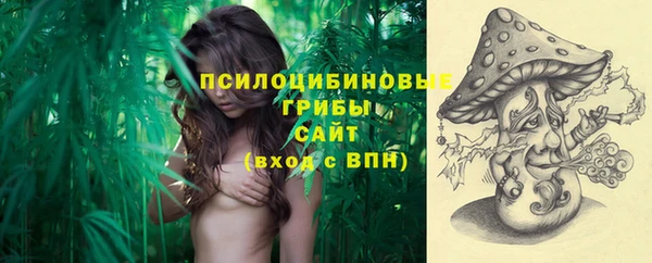 сатива Белоозёрский