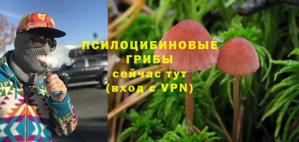 сатива Белоозёрский