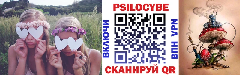 как найти   Ялуторовск  блэк спрут онион  Галлюциногенные грибы Cubensis 